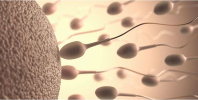 Votre ovulation : toutes les méthodes pour la détecter!